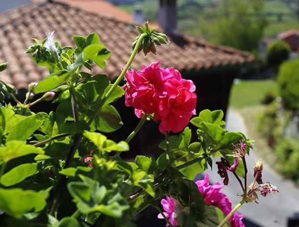 Casa Rural La Tayuela Luanco Eksteriør billede